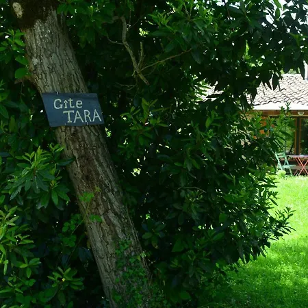 Petit Gite Tara Avec Spa - Ariege Pyrenees Pereille Exterior photo