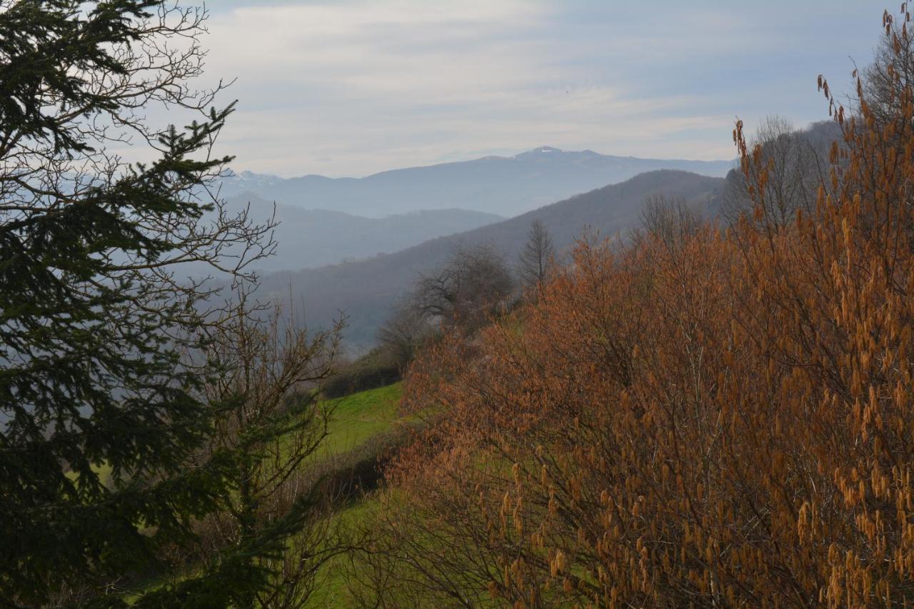 Petit Tara Avec - Ariege Pyrenees * Pereille