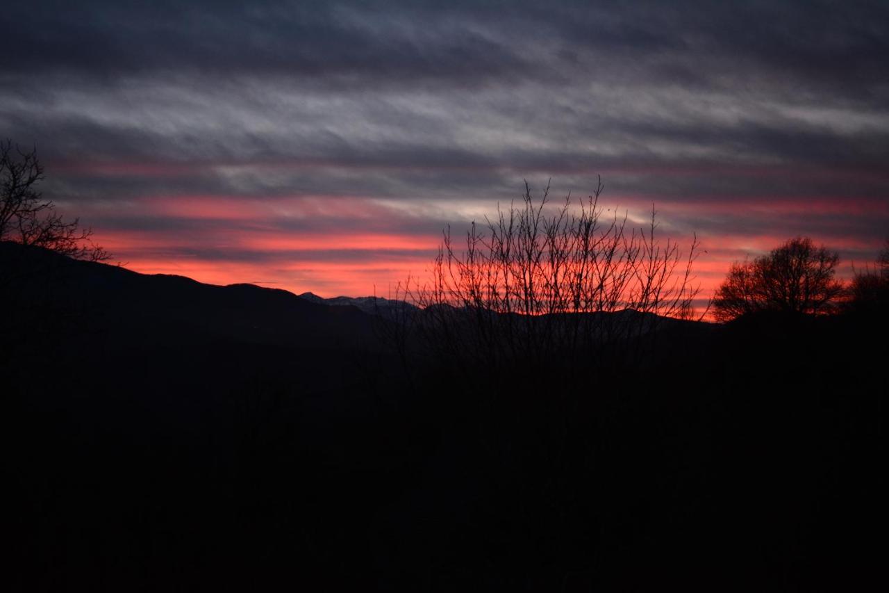 Petit Tara Avec - Ariege Pyrenees Pereille