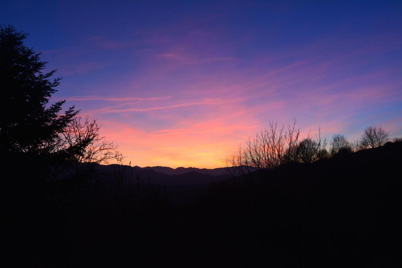 Petit Tara Avec - Ariege Pyrenees Holiday home