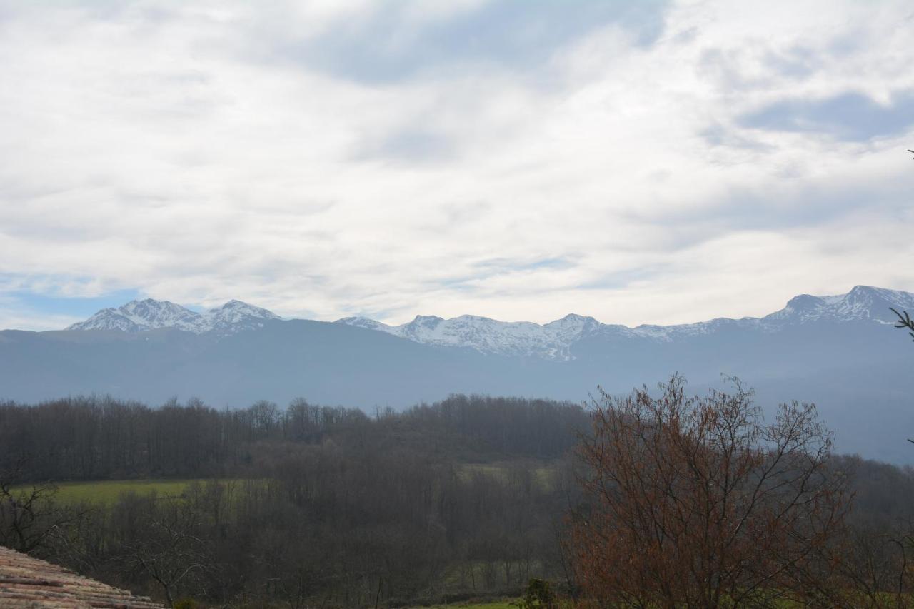 Petit Tara Avec - Ariege Pyrenees * Pereille